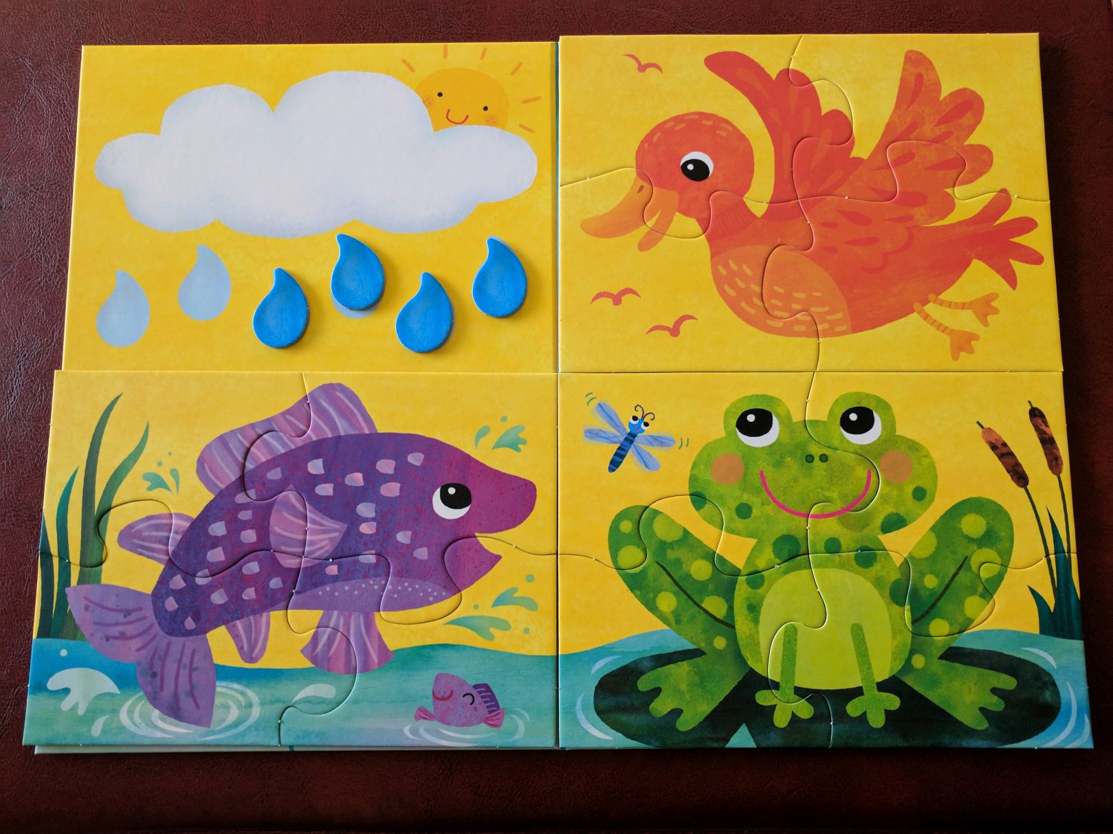 Sunny_Day_Pond7