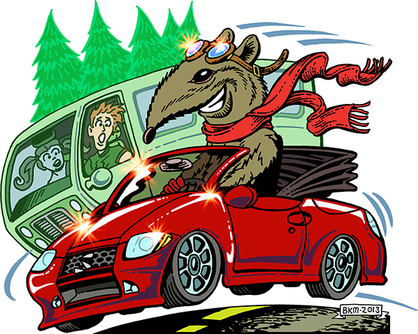The Shrew cannot be tamed!
